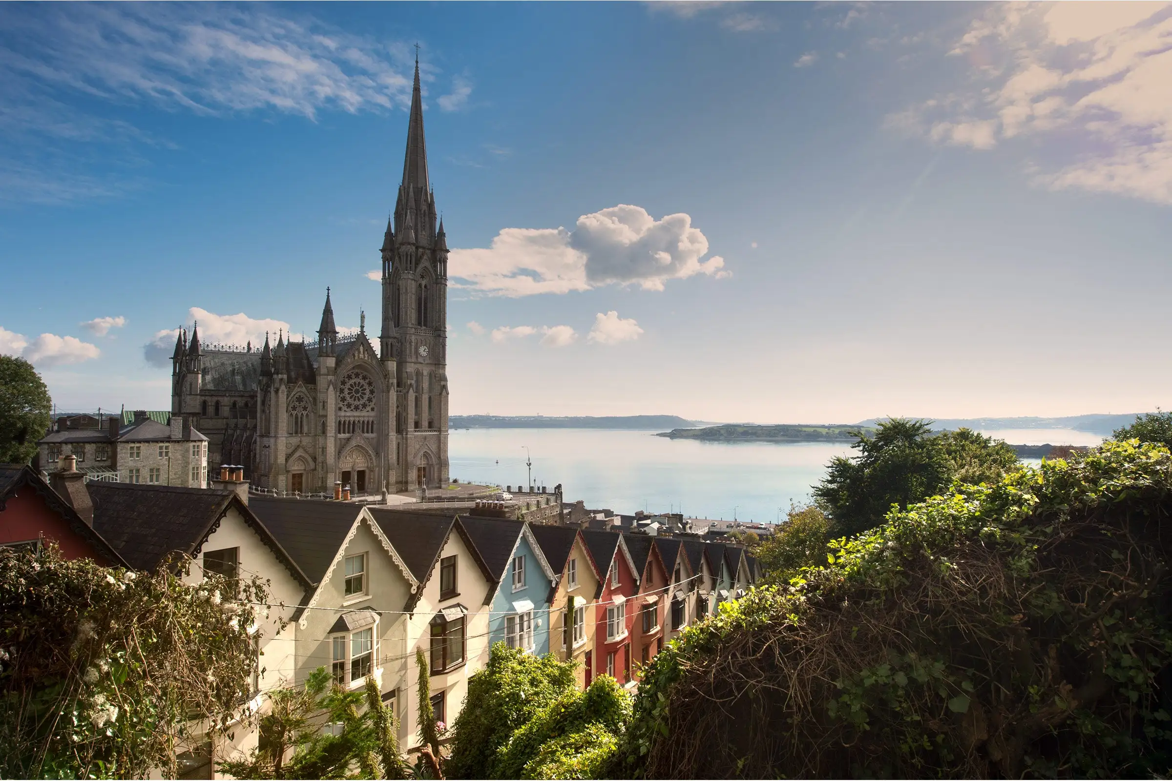 Cobh St Colman's Cathedral Tour